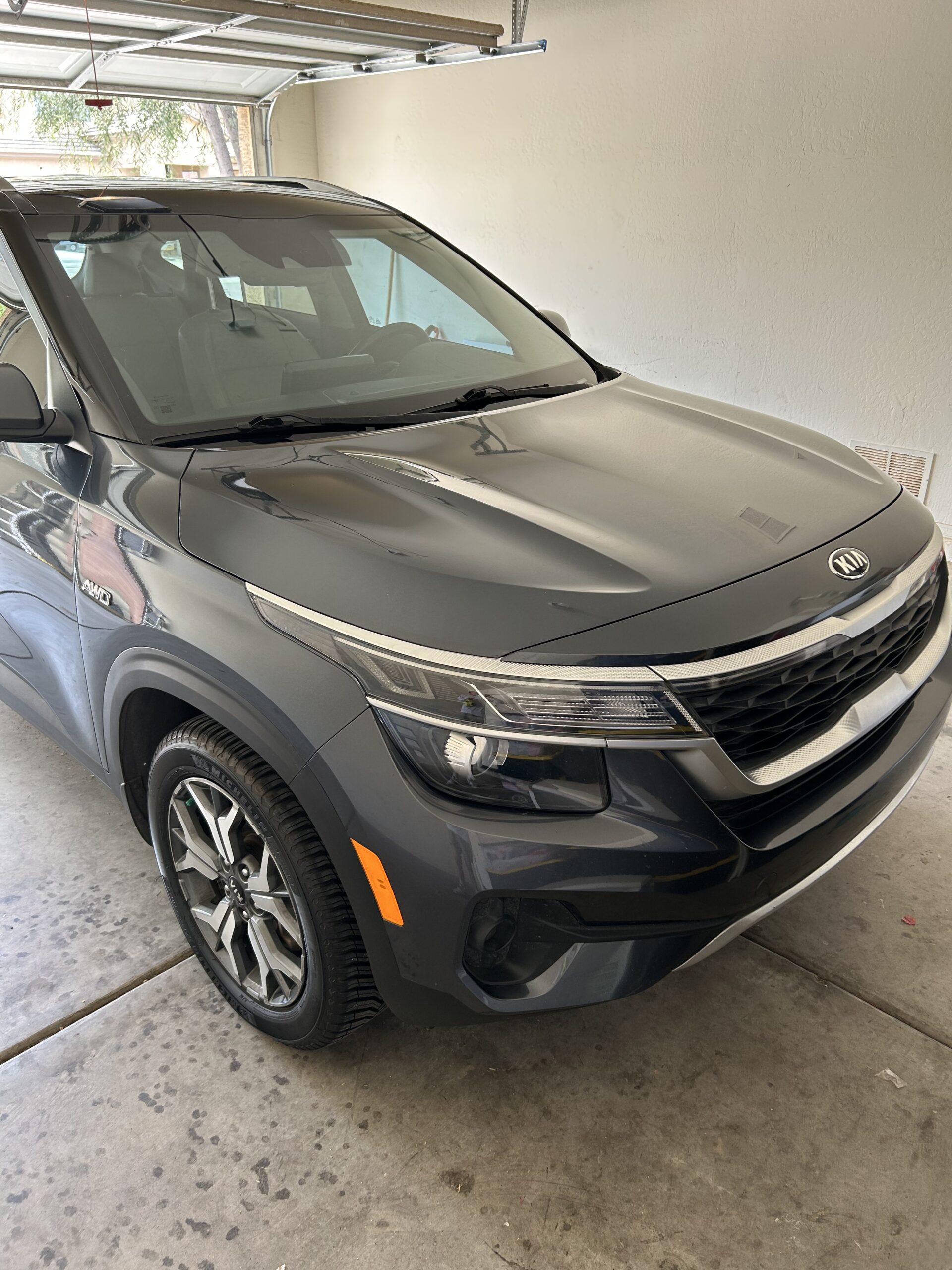 Professional Detailing Work